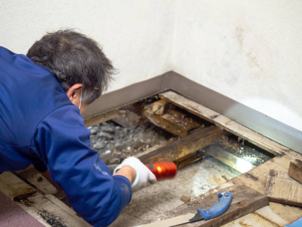 Best Office Mold Removal Services  in Red Hill, PA