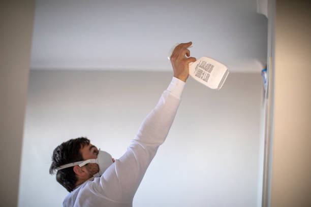 Best Black Mold Removal  in Red Hill, PA