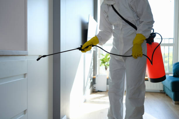 Best Mold Cleaning Services  in Red Hill, PA