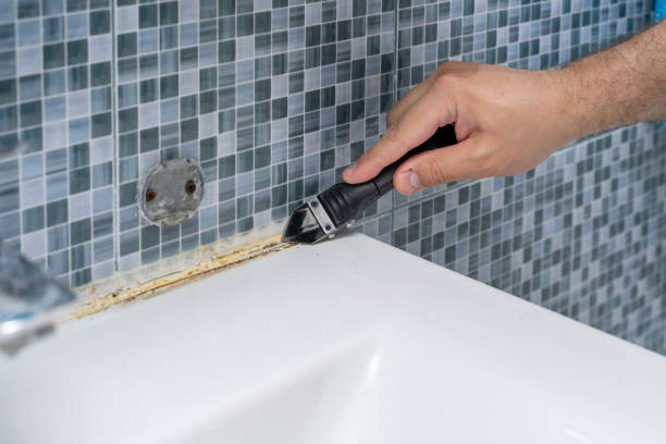 Best Professional Mold Removal  in Red Hill, PA