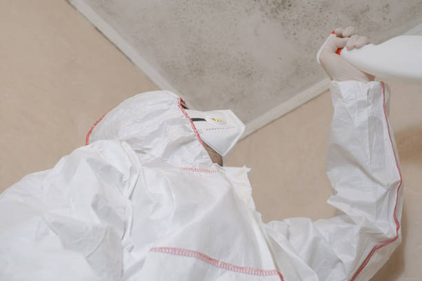 Best Crawl Space Mold Removal  in Red Hill, PA